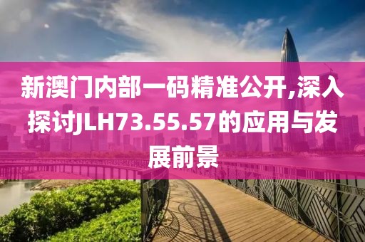 新澳门内部一码精准公开,深入探讨JLH73.55.57的应用与发展前景