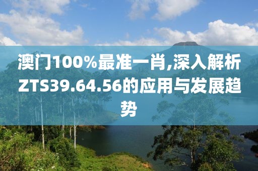 澳门100%最准一肖,深入解析ZTS39.64.56的应用与发展趋势