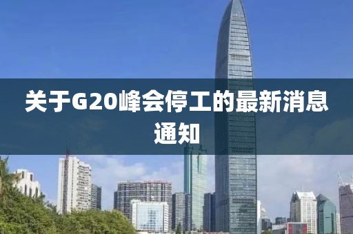 关于G20峰会停工的最新消息通知
