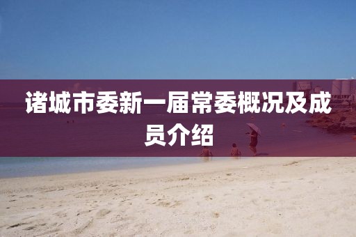 诸城市委新一届常委概况及成员介绍