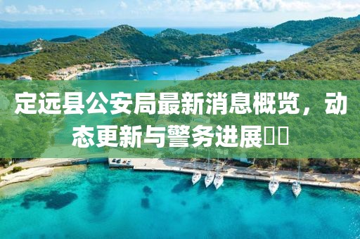 定远县公安局最新消息概览，动态更新与警务进展​​