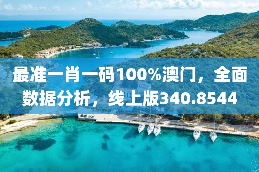 最准一肖一码100%澳门，全面数据分析，线上版340.8544