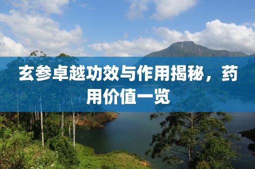 玄参卓越功效与作用揭秘，药用价值一览