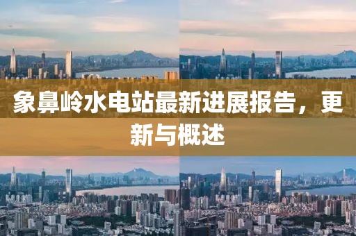 象鼻岭水电站最新进展报告，更新与概述