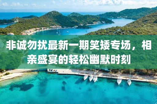 非诚勿扰最新一期笑矮专场，相亲盛宴的轻松幽默时刻