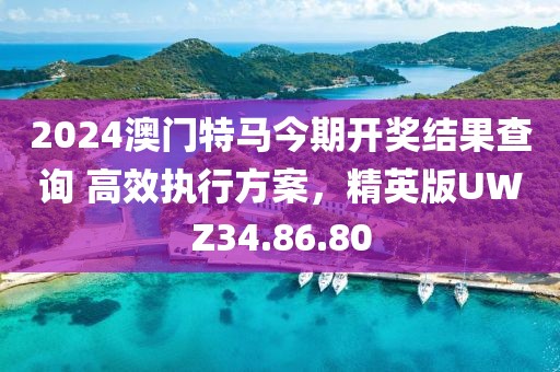 2024年11月 第370页