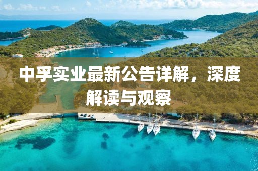 中孚实业最新公告详解，深度解读与观察