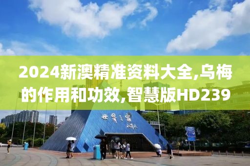2024新澳精准资料大全,乌梅的作用和功效,智慧版HD239