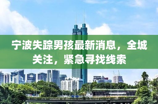宁波失踪男孩最新消息，全城关注，紧急寻找线索
