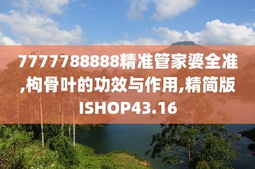 7777788888精准管家婆全准,枸骨叶的功效与作用,精简版ISHOP43.16