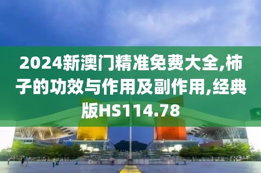 2024新澳门精准免费大全,柿子的功效与作用及副作用,经典版HS114.78