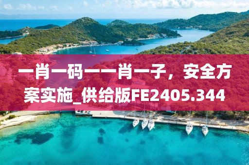 一肖一码一一肖一子，安全方案实施_供给版FE2405.344