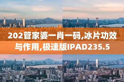 202管家婆一肖一码,冰片功效与作用,极速版IPAD235.5