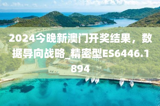 2024今晚新澳门开奖结果，数据导向战略_精密型ES6446.1894