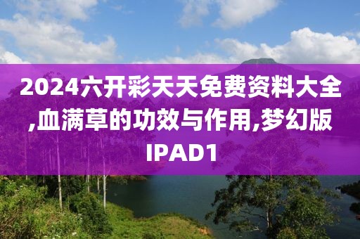 2024六开彩天天免费资料大全,血满草的功效与作用,梦幻版IPAD1
