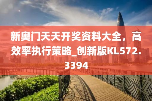 新奥门天天开奖资料大全，高效率执行策略_创新版KL572.3394
