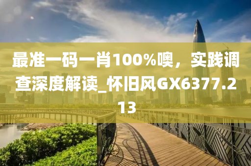 最准一码一肖100%噢，实践调查深度解读_怀旧风GX6377.213