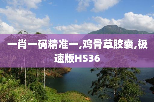 一肖一码精准一,鸡骨草胶囊,极速版HS36