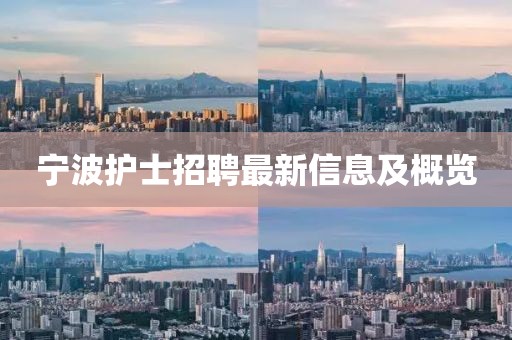 宁波护士招聘最新信息及概览
