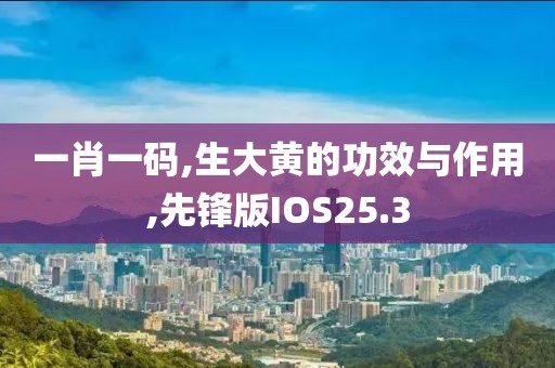 一肖一码,生大黄的功效与作用,先锋版IOS25.3
