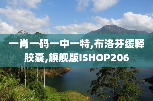 一肖一码一中一特,布洛芬缓释胶囊,旗舰版ISHOP206