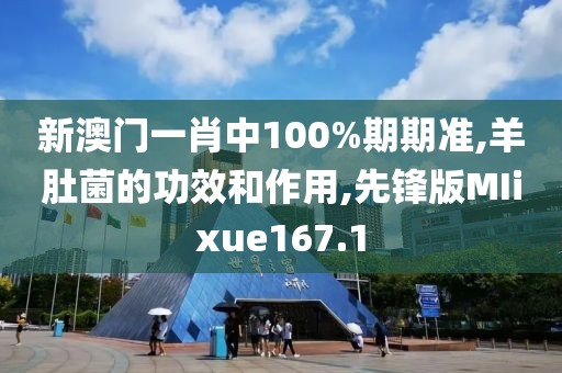 新澳门一肖中100%期期准,羊肚菌的功效和作用,先锋版MIixue167.1