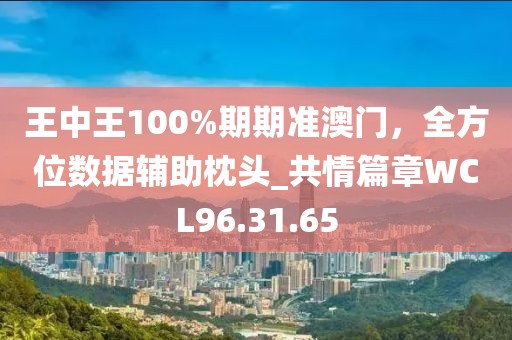 王中王100%期期准澳门，全方位数据辅助枕头_共情篇章WCL96.31.65