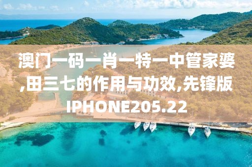 澳门一码一肖一特一中管家婆,田三七的作用与功效,先锋版IPHONE205.22