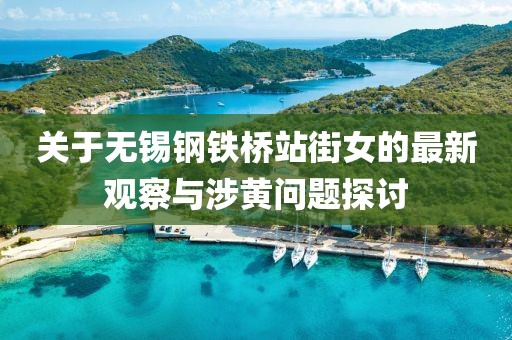关于无锡钢铁桥站街女的最新观察与涉黄问题探讨