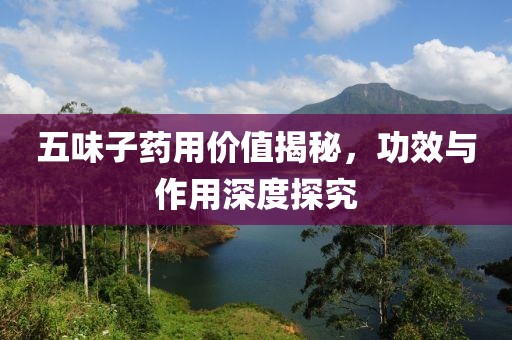 五味子药用价值揭秘，功效与作用深度探究
