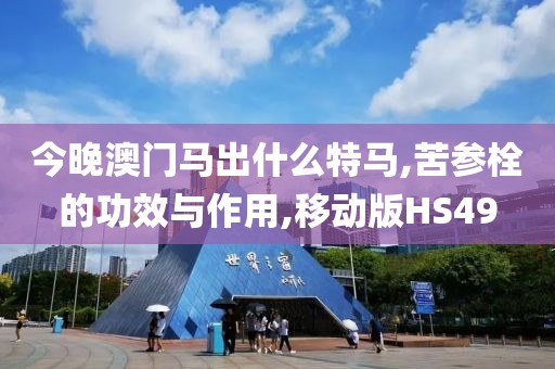 今晚澳门马出什么特马,苦参栓的功效与作用,移动版HS49
