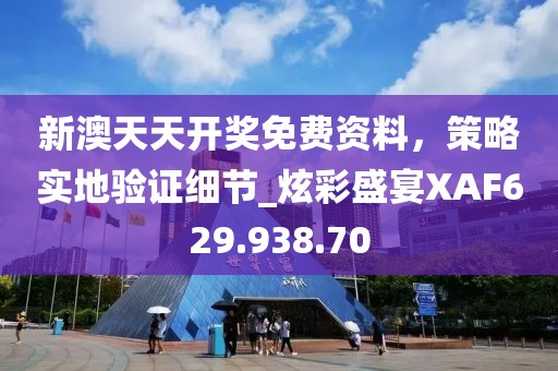 新澳天天开奖免费资料，策略实地验证细节_炫彩盛宴XAF629.938.70
