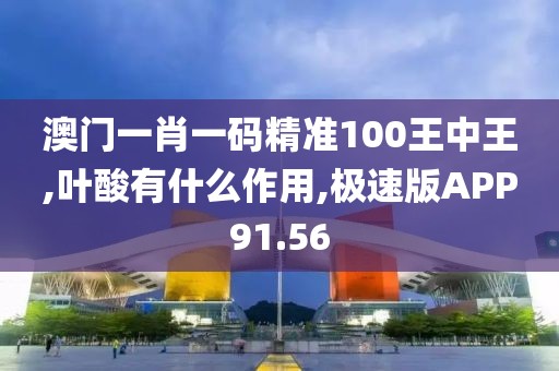 澳门一肖一码精准100王中王,叶酸有什么作用,极速版APP91.56