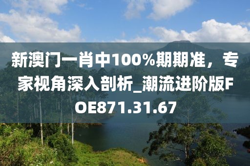 新澳门一肖中100%期期准，专家视角深入剖析_潮流进阶版FOE871.31.67