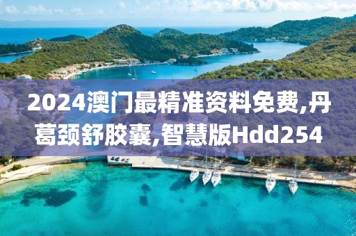 2024澳门最精准资料免费,丹葛颈舒胶囊,智慧版Hdd254