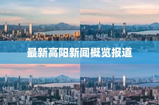 最新高阳新闻概览报道