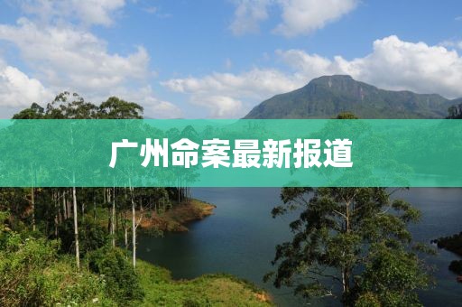 广州命案最新报道