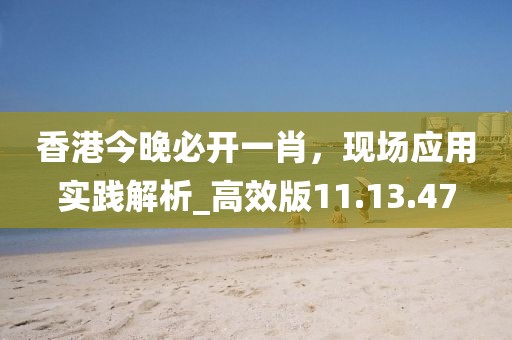 香港今晚必开一肖，现场应用实践解析_高效版11.13.47
