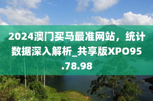 2024澳门买马最准网站，统计数据深入解析_共享版XPO95.78.98