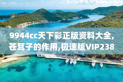 9944cc天下彩正版资料大全,苍耳子的作用,极速版VIP238