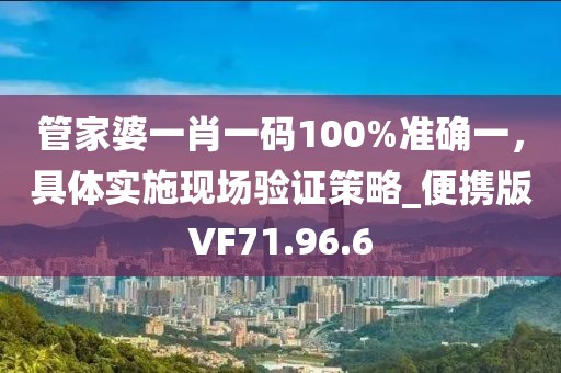 管家婆一肖一码100%准确一，具体实施现场验证策略_便携版VF71.96.6
