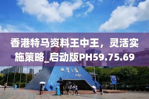 香港特马资料王中王，灵活实施策略_启动版PH59.75.69