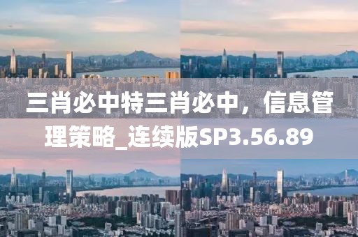 三肖必中特三肖必中，信息管理策略_连续版SP3.56.89