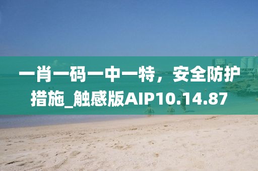 一肖一码一中一特，安全防护措施_触感版AIP10.14.87