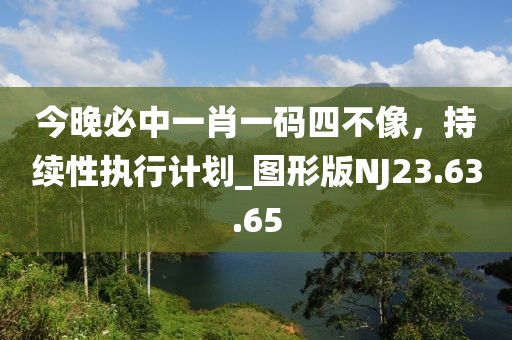 今晚必中一肖一码四不像，持续性执行计划_图形版NJ23.63.65