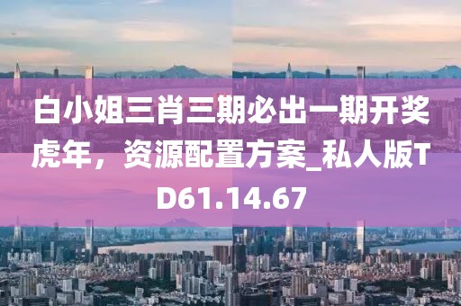 白小姐三肖三期必出一期开奖虎年，资源配置方案_私人版TD61.14.67