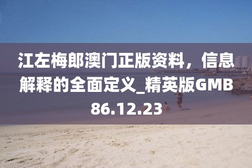 江左梅郎澳门正版资料，信息解释的全面定义_精英版GMB86.12.23
