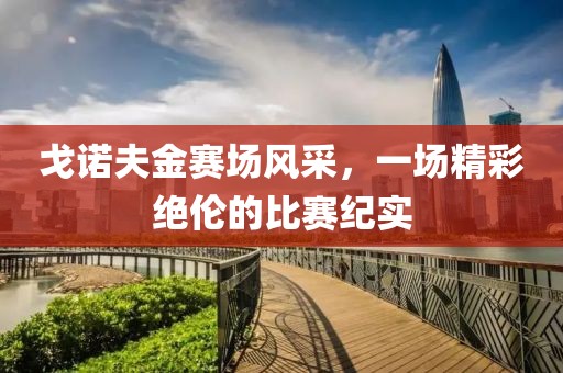 戈诺夫金赛场风采，一场精彩绝伦的比赛纪实