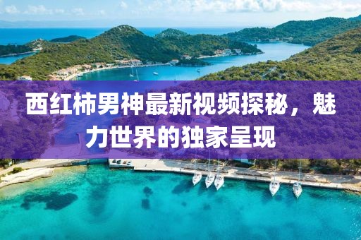 西红柿男神最新视频探秘，魅力世界的独家呈现