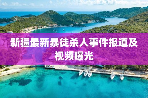 新疆最新暴徒杀人事件报道及视频曝光